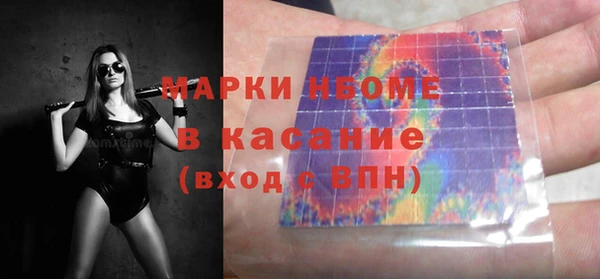 СК Елизово