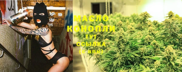 spice Дмитриев