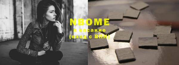 СК Елизово