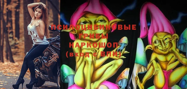 стаф Видное