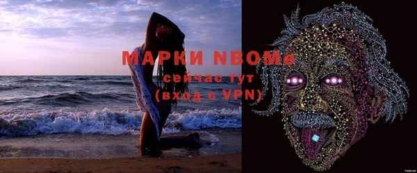 СК Елизово