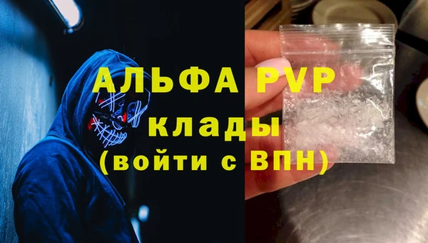 СК Елизово
