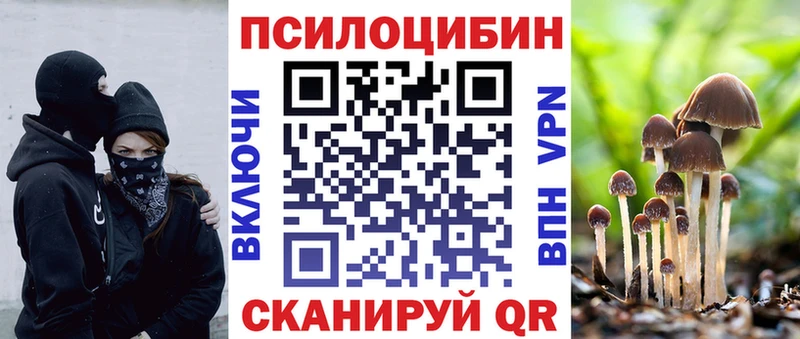 хочу наркоту  маркетплейс клад  Галлюциногенные грибы GOLDEN TEACHER  Ельня 